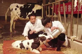 “宇宙中心”曹县凭啥火？数千年前的古人来告诉你图片