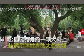 坐飞机来“上吊”？沈阳大爷大妈把头挂树上摇晃锻炼，发明大爷：有专利，能治病图片