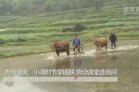 贵州余庆：小满时节学插秧 劳动课堂进田间视频封面