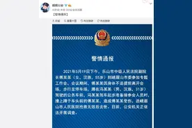 峨眉公安：乐山市中级人民法院副院长被撞伤后抢救无效去世，正依法调查图片
