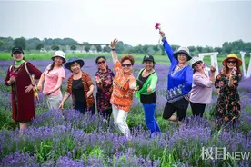 快去赏花！江夏紫色花海，迎来颜值巅峰图片