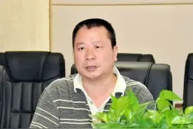 湘潭官员陈震龙案细节：千元假古玩要价百万，冒充残障人士办证与情妇开房用图片