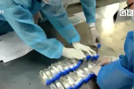 广州：海关查获50只“巨人恐蚁” 可喷酸致人化学灼伤视频封面