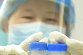 进境快件惊现巨人恐蚁！喷酸或可致人化学灼伤图片
