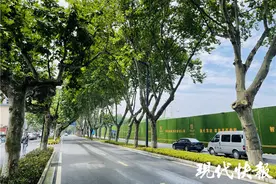 南京高淳“梧桐大道”来了，来逛这条古韵精品街巷图片