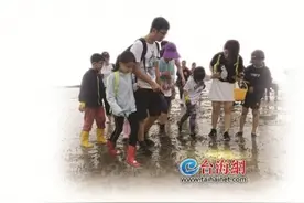 厦门秘境潮间带有哪些不为人熟知的生物？跟随环境科学博士到观音山海域“赶海”图片