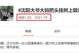 画风奇特！沈阳大爷大妈把头挂满树枝，还申请了国家专利图片