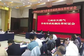 我市举行天然气价格形成机制改革听证会 2人同意方案一 17人同意方案二 2人不同意任何方案图片