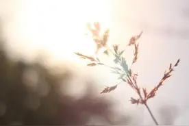 上游•夜雨丨感谢的不止是生活——歌曲《感谢生活》的歌里歌外图片