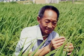 袁隆平院士因多器官功能衰竭逝世，享年91岁视频封面