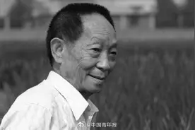 追记袁隆平：一粒种子魂归华夏稻田图片