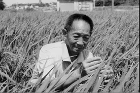 痛悼袁隆平！长沙市民冒雨送别，全国人民快递鲜花，世界媒体刷屏致哀图片