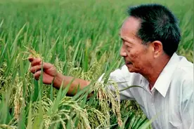 学生眼中的袁隆平：杂交水稻是他的命根子，他的魂图片