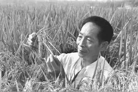 送别袁隆平，红星新闻长沙现场直击：病房门口有人献花，数千人雨中送别，有主播边流泪边直播图片