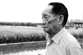 袁隆平，回归泥土图片