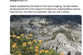 联合国粮农组织总干事悼念袁隆平：“我敬爱的大师千古！”图片