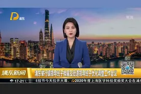 浦东举行镇领导班子换届及街道领导班子优化调整工作会议视频封面