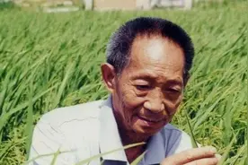 国士无双，亲爱的袁隆平爷爷，感谢您图片