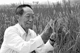 海报丨一粒种子图片