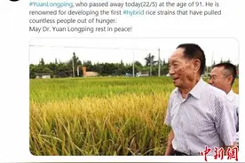 袁隆平逝世 国外网友自发悼念图片