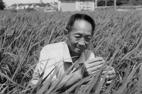 中国最受尊敬的农民，在禾下睡着了，生前力守耕地红线图片