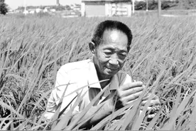 袁隆平：一生追梦图片