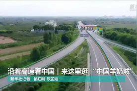 沿着高速看中国｜来这里逛“中国羊奶城”图片
