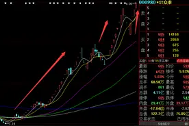 业绩亏损超百亿，股价却大涨4倍，人均赚15万！股民预言涨停竟美梦成真，疯狂炒作下是“骗筹码”还是“割韭菜”？图片