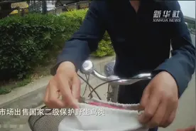 北京警方连续破获多起买卖国家级保护鸟类案