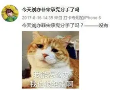 文化观察⑪｜“今天新垣结衣嫁人了吗”？打卡博主屡上热搜图片