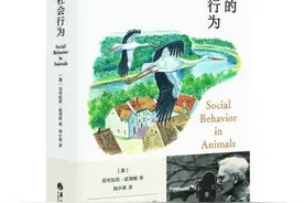 模拟“椋鸟相随降落”，AI的“群体智能”或走得更远？图片