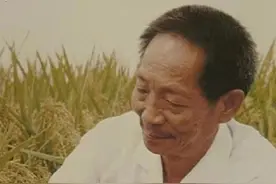 袁隆平说愿望是让天下人都吃饱饭图片