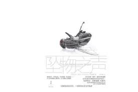 这场空难，葬送了一批拉美文学人士图片