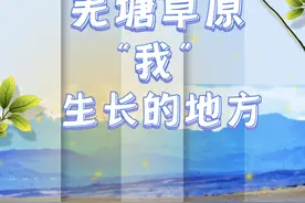 新华全媒+｜这里是羌塘草原——探秘西藏北部的“野生动物乐园”图片