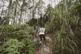 跑步时遇6种身体情况，立即停下图片