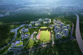 碧岭街道圆满完成坪山高中园项目征拆工作图片