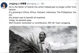 世界网友悼念袁隆平图片