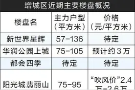 增城一大波新盘要来！单价两三万选择多图片
