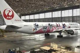 日航一波音客机飞行途中响起警报 迫降关西机场图片