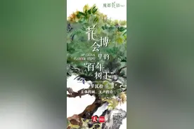 从上海园的百年树王到多个展区的珍贵盆景，它可能是花博园最常见的宝贝｜魔都花语⑦图片