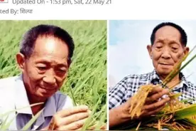 外媒盛赞袁隆平卓越贡献：他帮助养活了全世界人民图片