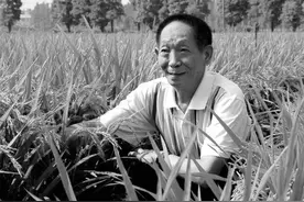 我不愿袁隆平只留下1个刻板印象图片
