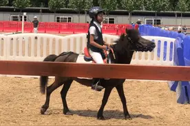 刘烨女儿参加马术比赛获佳绩 霓娜骑马又酷又飒图片