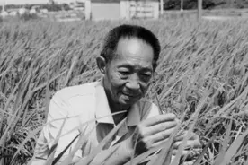 我国曾为哪些人士降半旗致哀图片