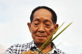 新华述评：禾下乘凉梦 一梦逐一生——怀念袁隆平图片