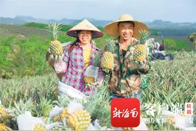 盛夏至，丰收时，海南各地水果闪亮登场图片
