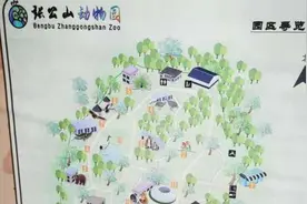 蚌埠一饲养员被老虎袭击身亡，动物园闭园称在施工视频封面