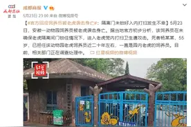 官方回应饲养员被老虎袭击身亡：隔离门未锁好图片