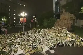 袁隆平雕像前布满花海照片曝光 袁花花再也无法陪袁隆平听汇报了图片