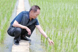 袁老与三亚的不解之缘：我热爱南繁，热爱三亚图片